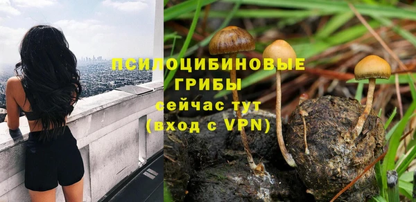 винт Абинск