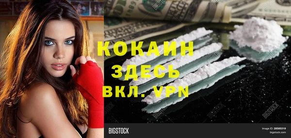 не бодяженный Алексин